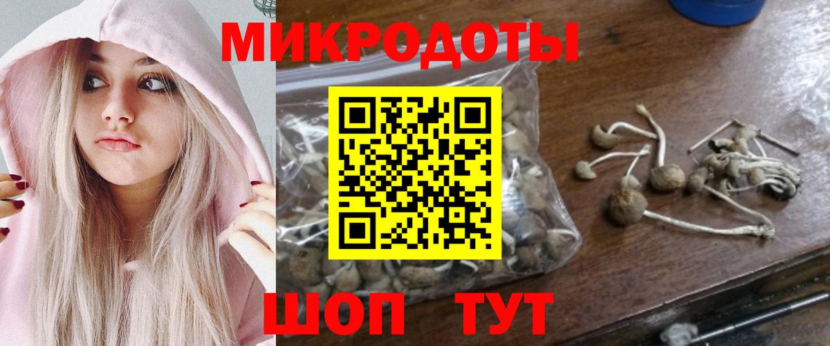 Галлюциногенные грибы Cubensis  Вход с VPN  Рубцовск 
